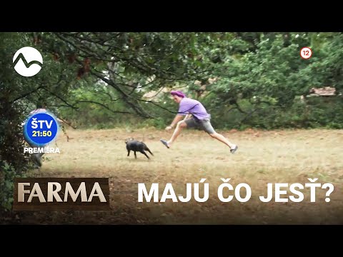 Farma 14 - už teraz na Voyo a vo štvrtok 22. 9. 2022 o 21:50 na TV Markíza