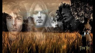 Pink Floyd ❀ Two Suns In The Sunset ☆HD☆