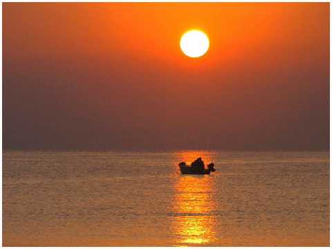 Joi Cardwell - Soul To Bare ( Chris Micali Mix )