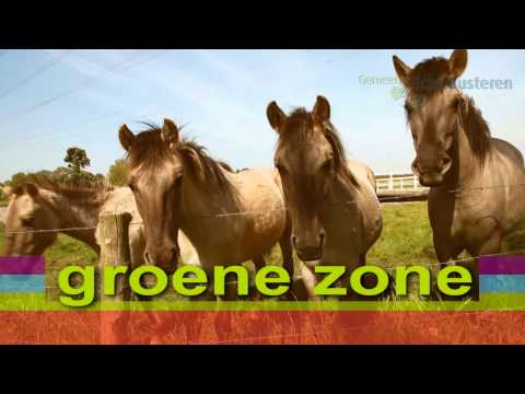 Echt in Beeld - promotiefilm voor de gemeente