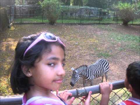 HAPPY BIRTHDAY SHREEYA