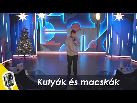 Kutyák és macskák | Aranyosi Péter