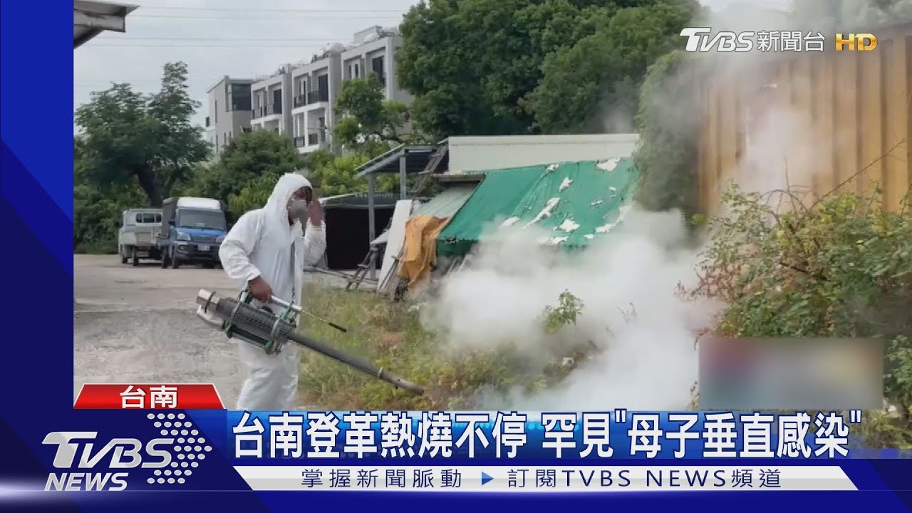燒不停!台南登革熱破2700例 罕見出現「母子垂直感染」