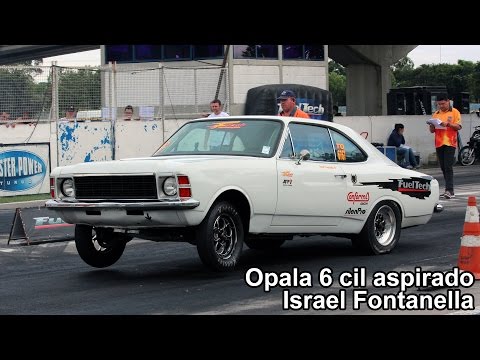 Opala TO - Israel Fontanella