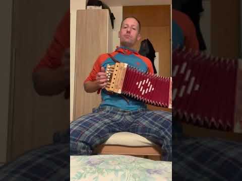 Jingle Bells organetto