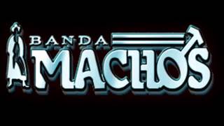 Banda Machos  Estas Seleccionada