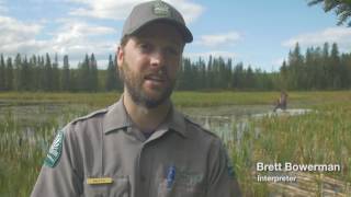 David Thompson Corridor 2017