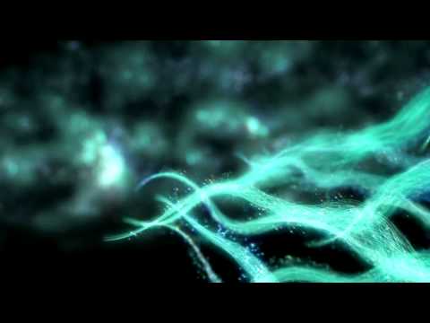 A Legacy Left Behind