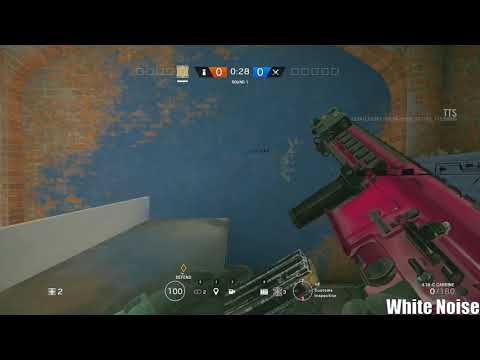 Jager's 416-C Carbine and P12 No Recoil Control Before and After. Blood Orchid and White Noise.