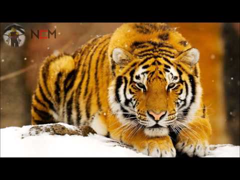 Paris Blohm ft. Angel Taylor - Presence [Free]