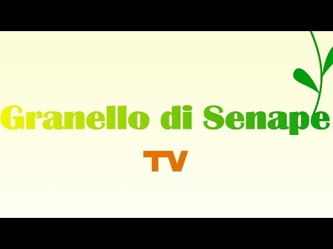 Trailer agente segreto - Granello di Senape TV