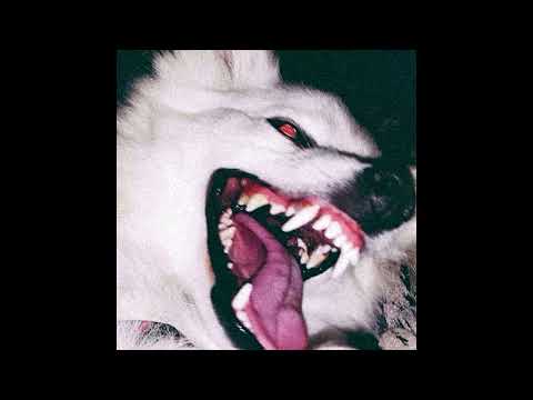 [FREE] SHAKEWELL x POUYA x RAMIREZ Type Beat "HVNGRY" (prod. Nekk x Smokestation)