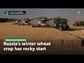 Russia’s Winter Wheat Planting Gets a Slow Start