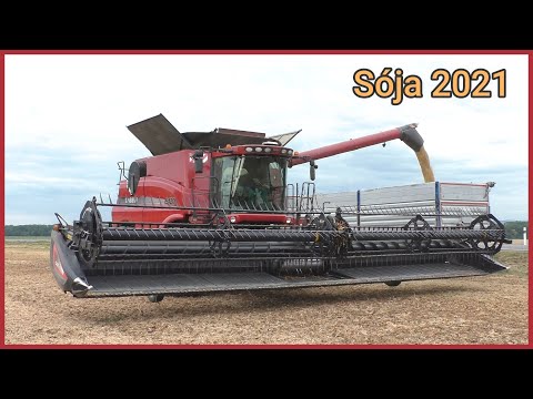 Žně 2021 - Sklizeň Sóji | Case IH Axial Flow 9120 + Macdon FD135 | ZD Unčovice