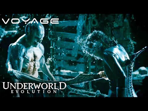 Underworld: Evolution | Selene's Final Battle Against Markus | Voyage
