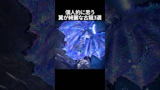翼が綺麗な古龍