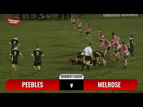 RUGBY HIGHLIGHTS - REPORT - PEEBLES v MELROSE - BORDER LEAGUE POOL B - 10.2.23