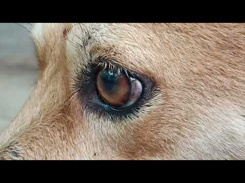 Kanndu randu rannu 👀@bickysworlds48