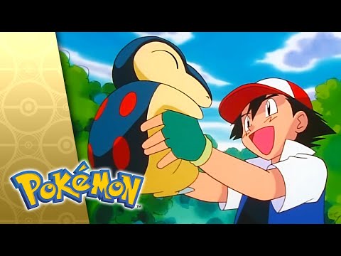 Good 'Quil Hunting! | POKÉMON FULL EPISODE 25 | Season 3