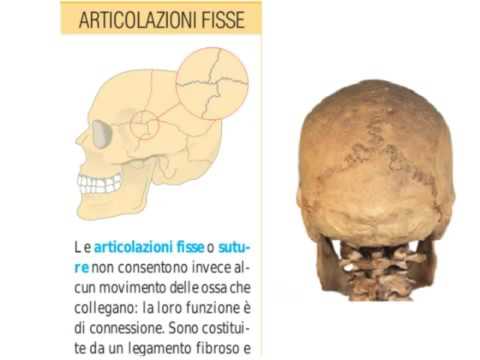 Kharkov Istituto dellarticolazione del ginocchio Come trattare osteocondrosi lombare della Bubnovsky