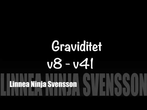 Graviditet v8 - v41