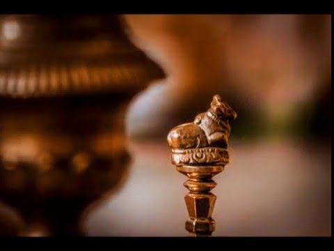 daniel paul CANDID PIC's