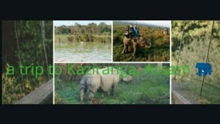 preview picture of video 'Elephant safari, Bagori range, Kaziranga national park, dec, 2017'