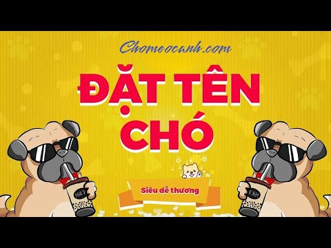 , title : 'Đặt Tên Cho Chó con may mắn, hay nhất bằng tiếng Việt, tiếng Anh. Tên chó đực, cái, poodle, phốc sóc'