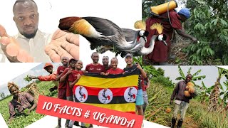 10 FACTS WHY UGANDA IS NAMED THE PEARL OF AFRICA THAN ANY OTHER COUNTRY IN AFRICA 🌍.