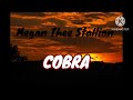 Megan Thee Stallion- Cobra (Lyrics)