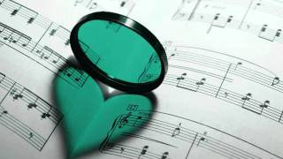 Feel your Love - Playmen & Alceen