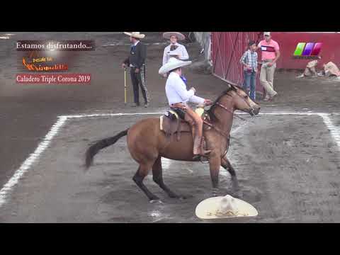 DLM277 010220 Bloque 2   4 I Caladero Amateur Triple Corona Rafael Martínez con Cusinela