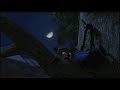 Over The Hedge RJ S Nightmare 2006