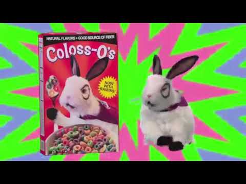 We're Back!: A Wild Animal's Story Part 10 - Scamp, Angel and Hathi