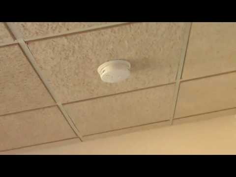 Braddock Rd Highlander - Video 2 of 2