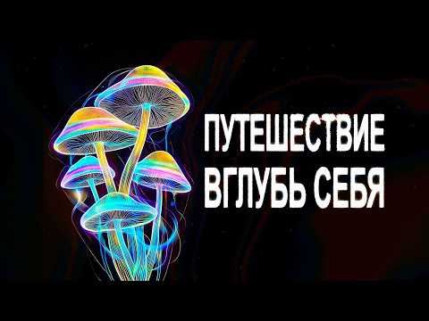 Грибной трип | Трип-репорт