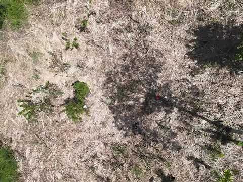 EN VENTA_FINCA VEREDA JAGUAL_NOCAIMA CUNDINAMARCA