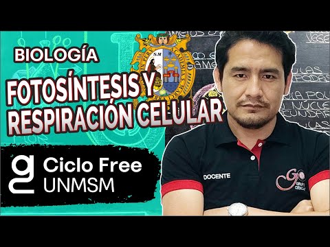 BIOLOGÍA - Fotosíntesis y respiración celular [CICLO FREE]