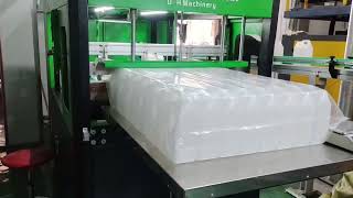 Bagging Machine for Extrusion Blow Molding with Dual-Side Bottle Discharge!