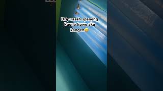 Download lagu ORA MASALAH- GUYON WATON #viral #sound #soundviral #shortvideo mp3