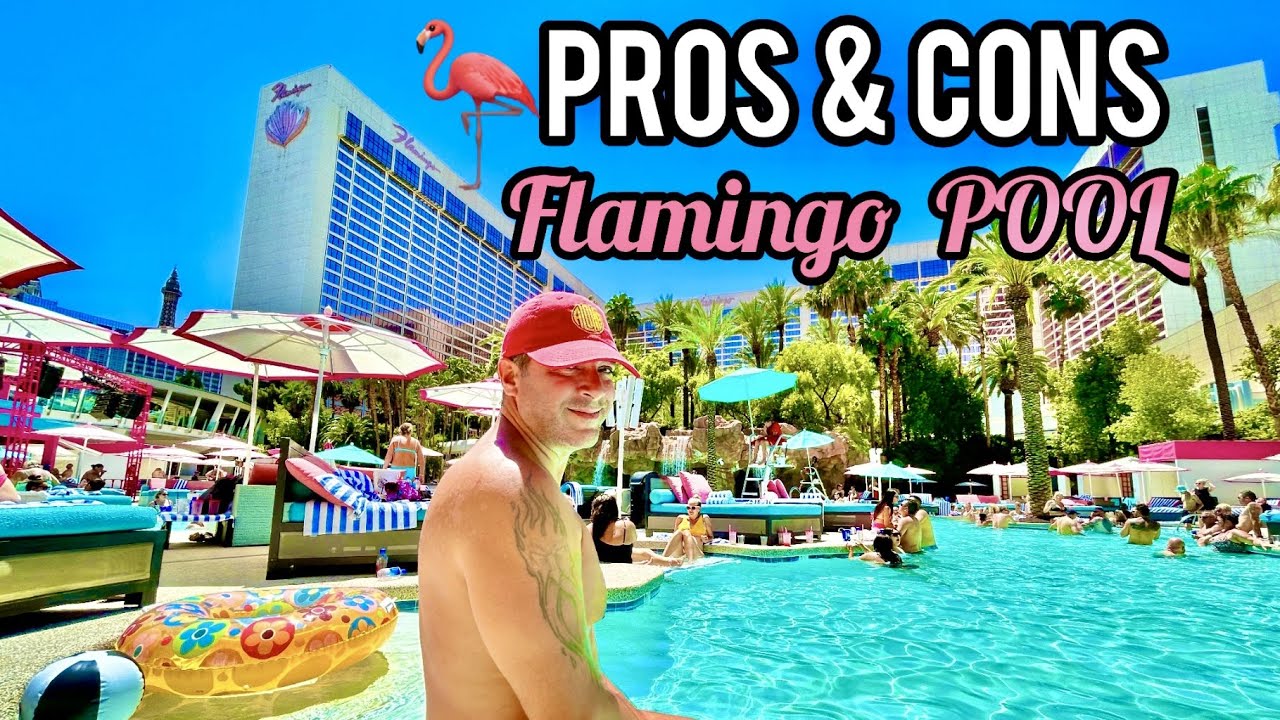 Pro's & Con's Flamingo Pools