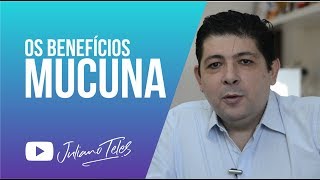 Os benefícios da Mucuna Pruriens