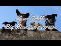 LEAN ON ME - BIG MOUNTAIN'S VERSION - WITH LYRICS | PCHILL CLASSICS