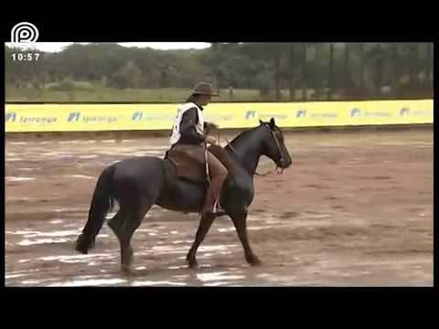 Classificatória Região Sul – 1° lugar machos – Único dos Tapes (Prova: Bayard/Sarmento)