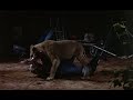 Bad Movie Night Presents WILD BEASTS