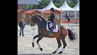 Sélection des équipes de France Children, Juniors et Jeunes Cavaliers