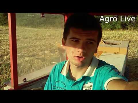 VLOG UPOZORENJA!!! Obavezno pogledati!