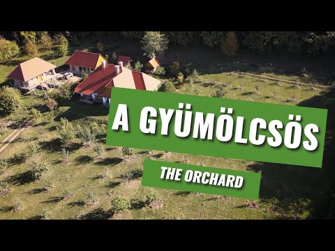 A birtok, ahol a régi gyümölcsfajtáim őrzöm. / The property I grow my heritage fruit trees.