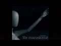 Skyders - Ne manekene 