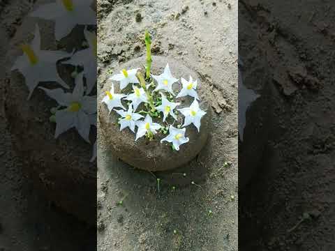 🎂🎂🎂🎂❤️❤️❤️